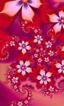 pic for Red Flower Pattern 768x1280